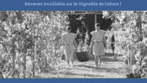 Infographie Vins de Cahors - Les romains, créateurs du vignoble
