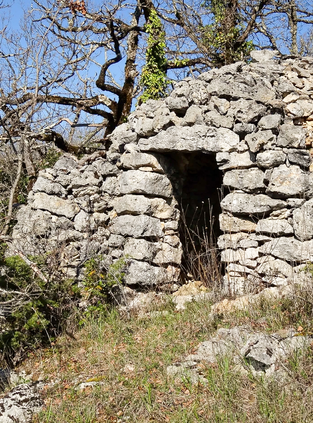 Les foulées du malbec - Les Vins de Cahors partenaires